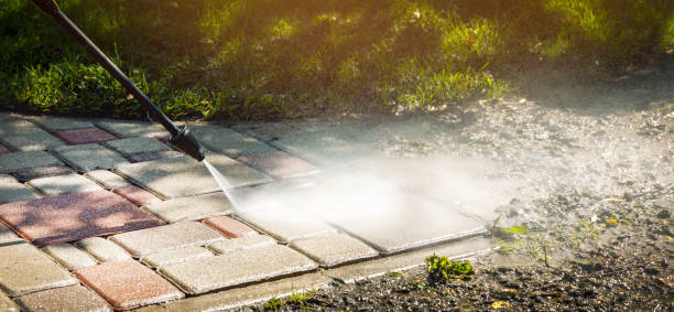Best Animal Enclosure Cleaning  in Syracuse, IN